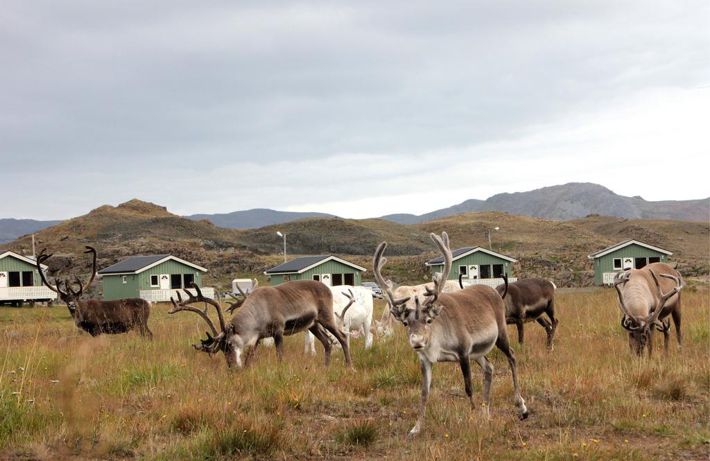 Hotel Nordkapp Camping Honningsvåg Zimmer foto