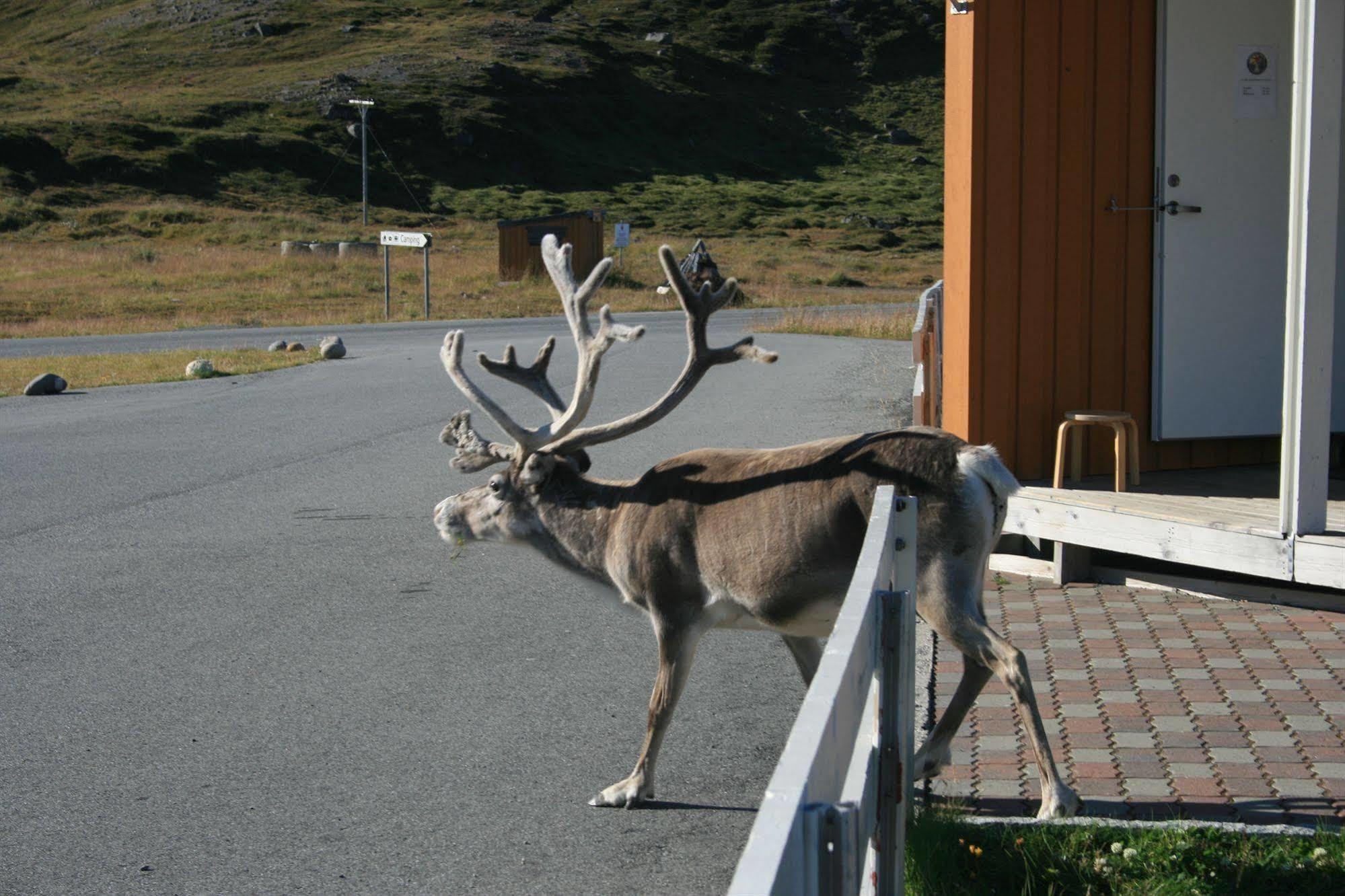 Hotel Nordkapp Camping Honningsvåg Exterior foto